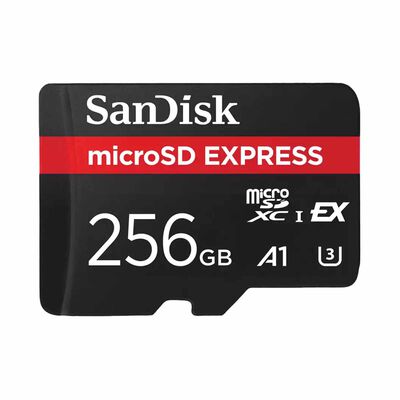 SANDISK Microsd Express,880/650mb/s,rpd2,w/jc,4x6 SDSQXFN-256G-GN4NN