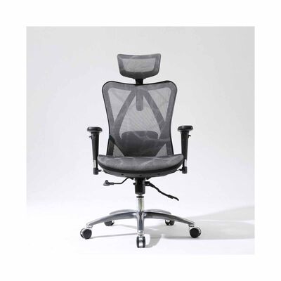 SIHOO All Mesh Office Chair (grey) CARL