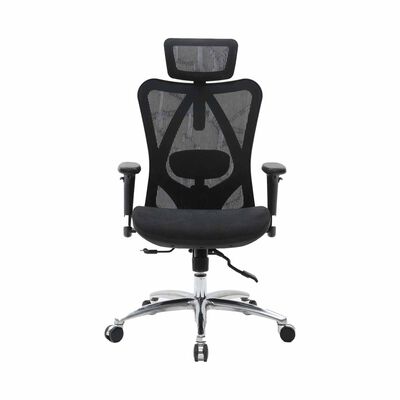 High Back Ergonomic Chair (black) CARL