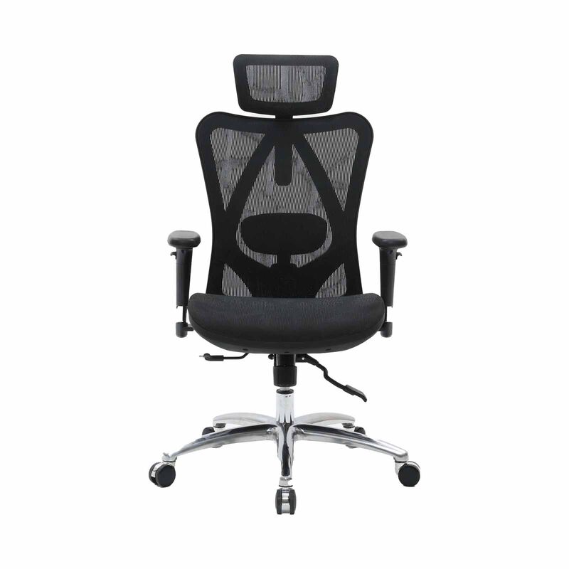 High Back Ergonomic Chair (black) CARL-image 1