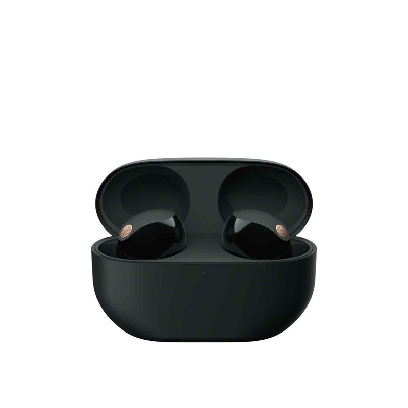 SONY Wireless Noise Cancellation Headphones (black) WF-1000XM5/BCE-image 1