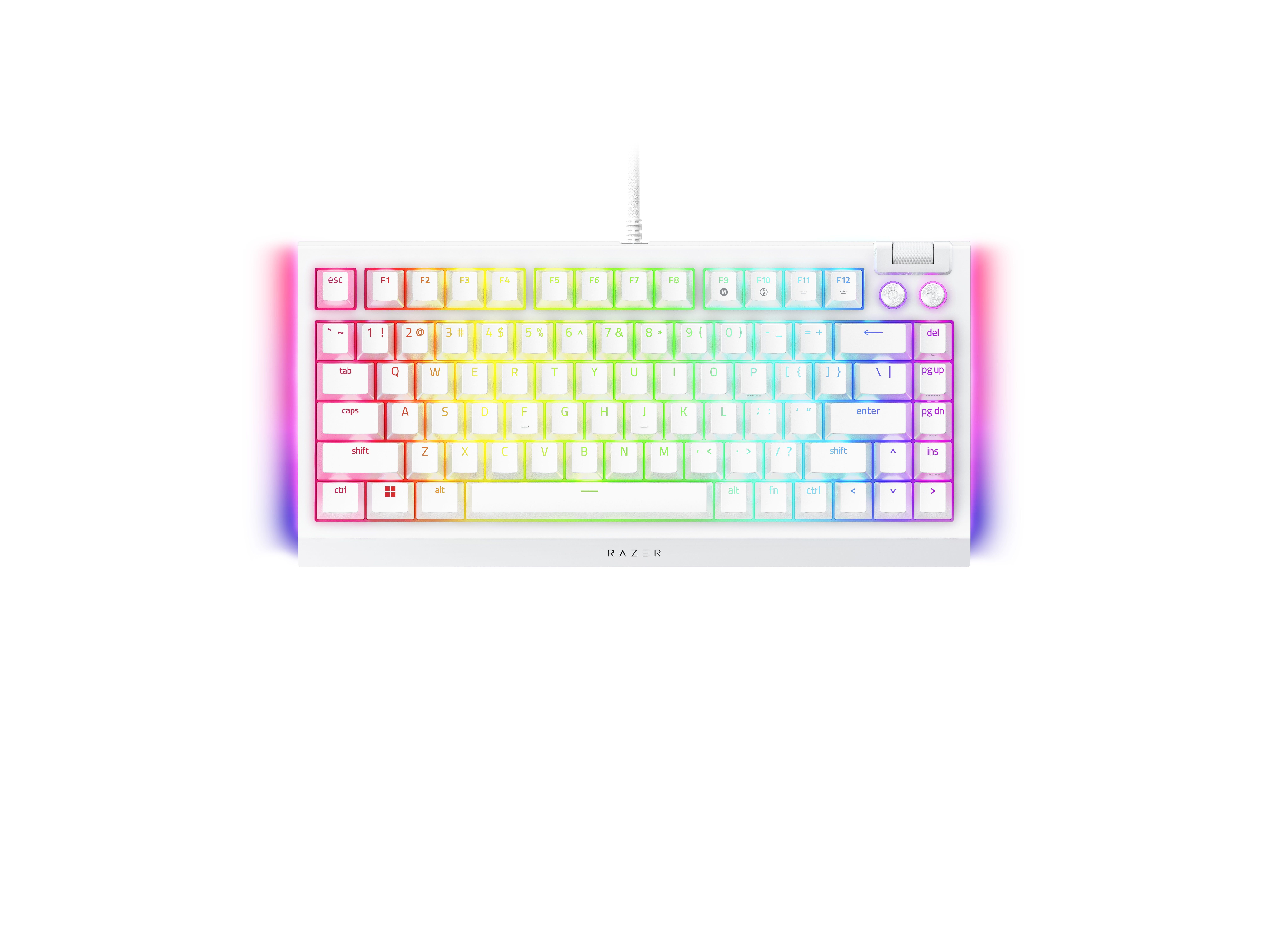 Shop RAZER Blackwidow V4 75% - Hot-swappable Mechanical Gaming
