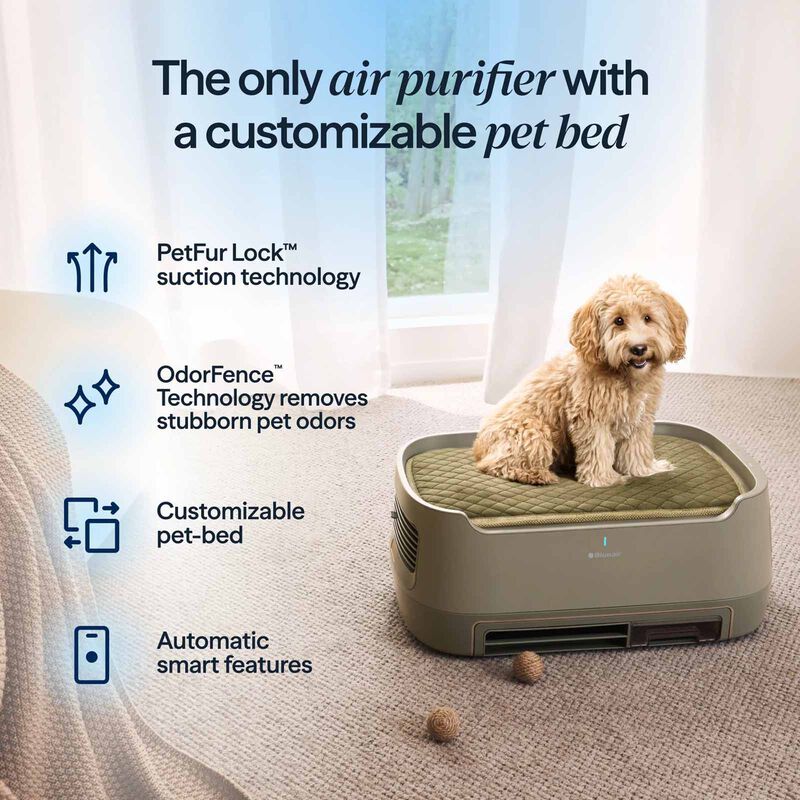 BLUEAIR Blueair Petair Pro P3i- Green Sisal Mat 112860-image 5