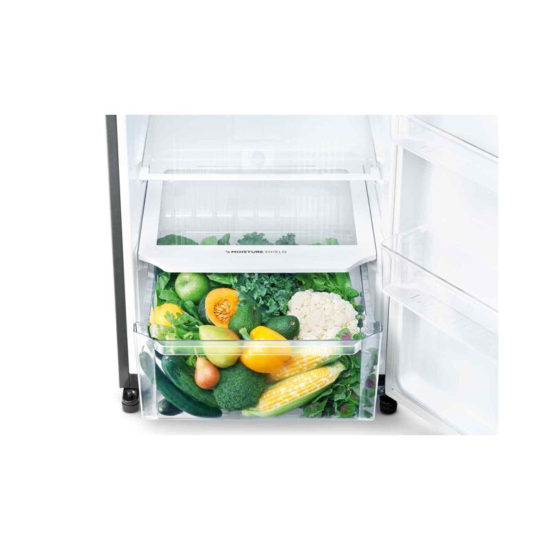 SHARP 2 Dr Fridge (300l) SJ-RF30E-DS-image 4
