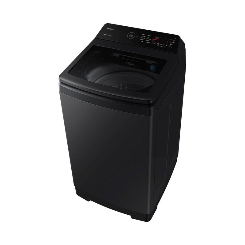 SAMSUNG Top Load Washer (10kg) WA10CG4545BVSP-image 2