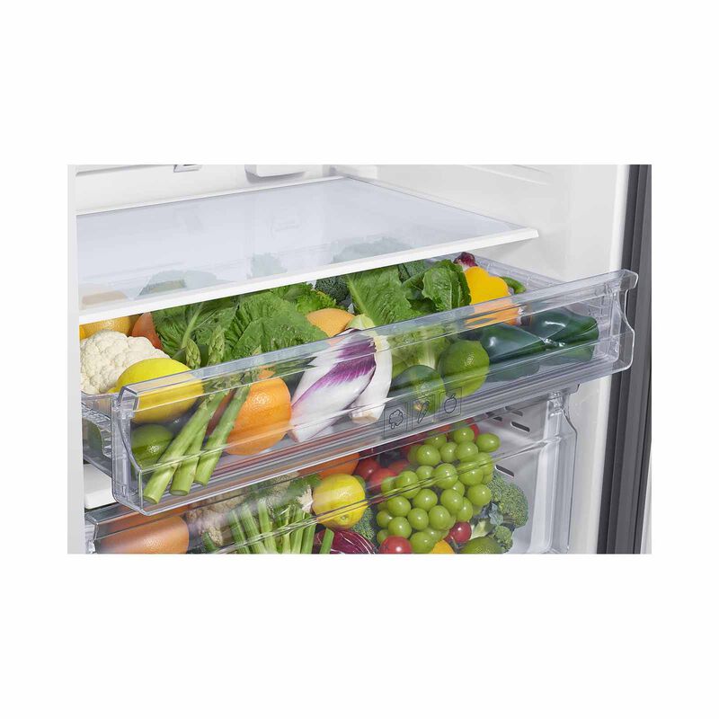SAMSUNG Top Mount Fridge - Refined Inox (530l) RT53DG7A6CS9SS-image 8