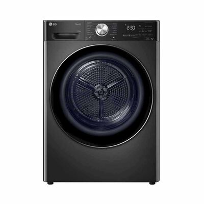 LG Heat Pump Dryer (10kg) TD-H10VBD