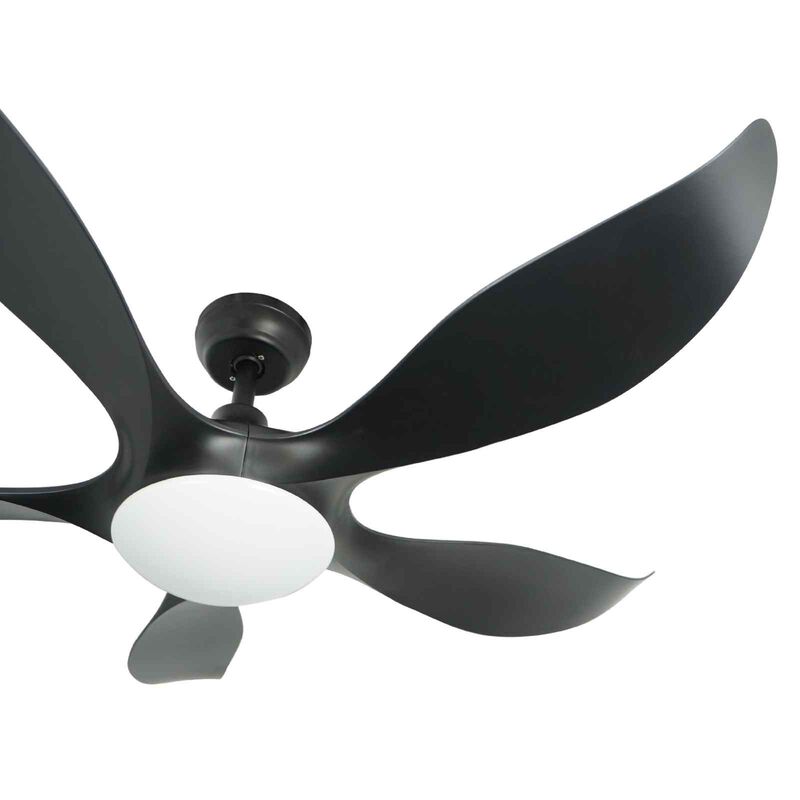 D'FAN 52 In Dc Ceiling Fan With Led Light (black) TYPHOON52-BK-image 3