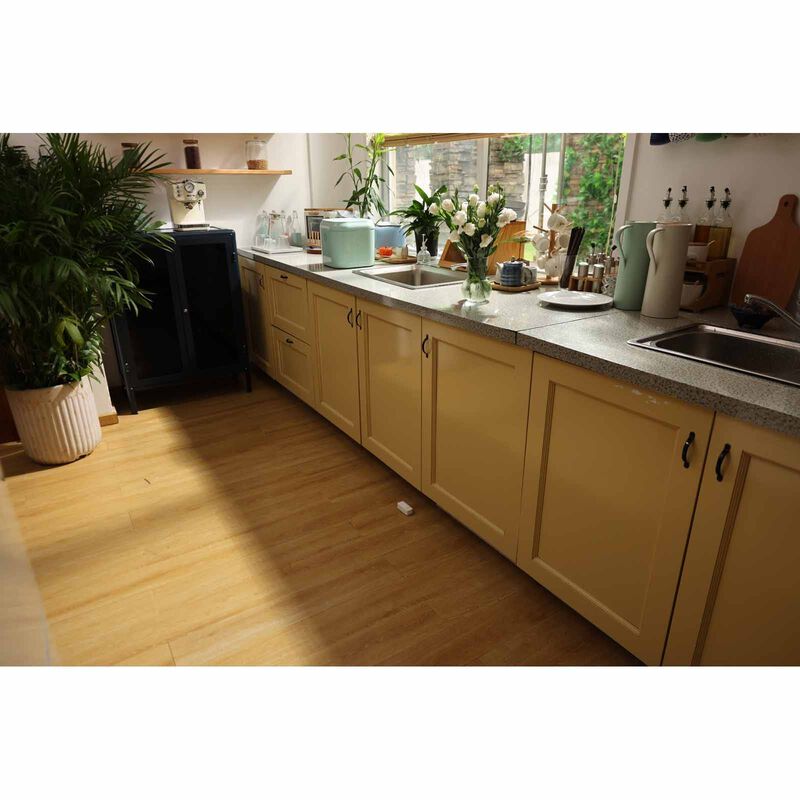 SWITCHBOT Water Leak Detector W/ Sensor Cable SBT-W4402010-image 2