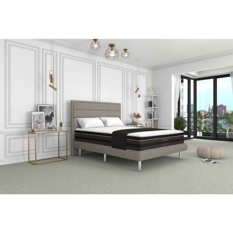 MAXCOIL Queen Size Mattress ECO ORGANIC COTTON CHINO-image 5