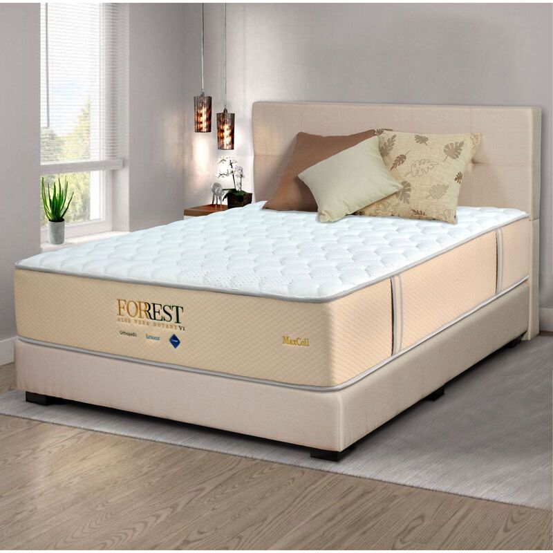 MAXCOIL Queen Size Mattress ALOE VERA BOTANY 6-image null