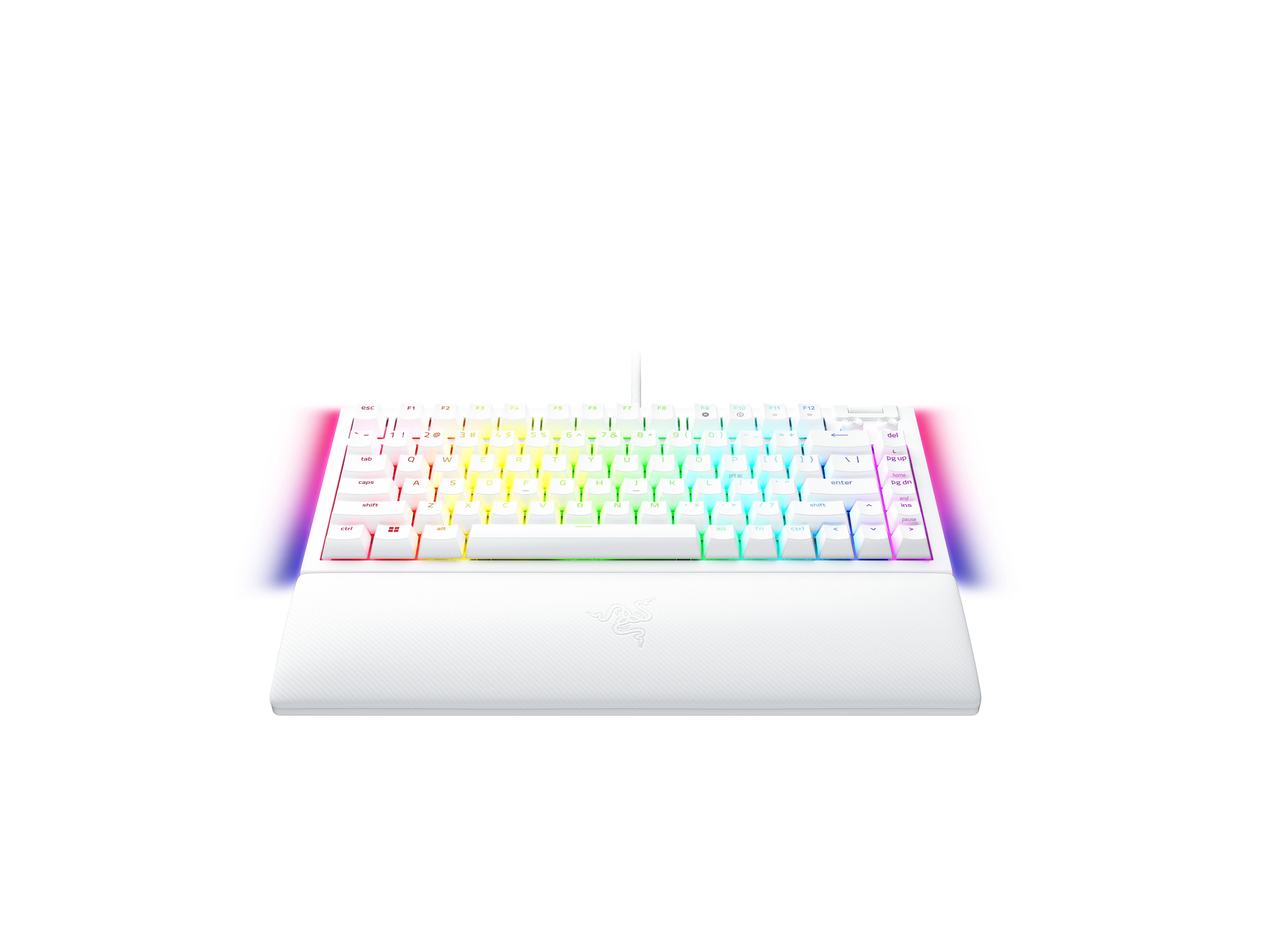 Shop RAZER Blackwidow V4 75% - Hot-swappable Mechanical Gaming