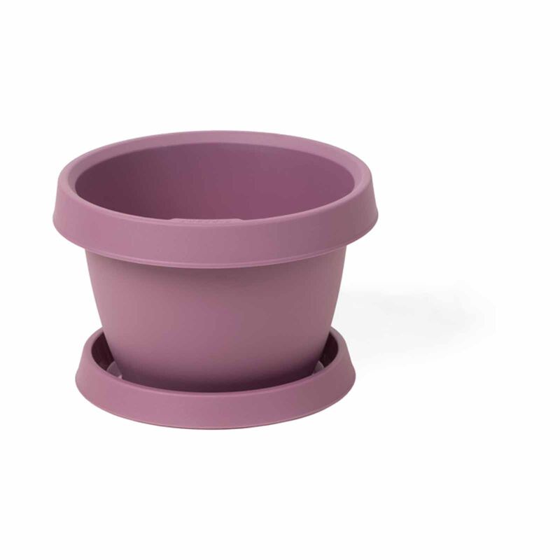 PHOENIX Gro Flowerpot + Tray 4l Hibiscus P-PX-70-2402-image null