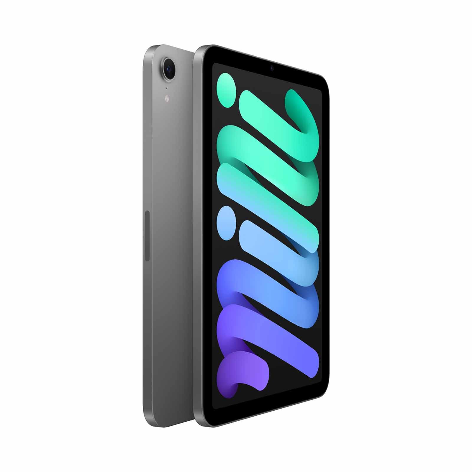 Shop APPLE Ipad Mini Wi-fi 256gb - Space Grey MXNA3ZP/A in Singapore
