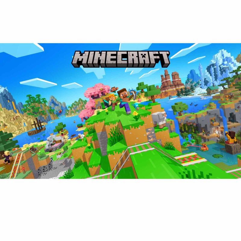 NINTENDO Minecraft NTD-HAC-P-AEUCA-MSE-image 2