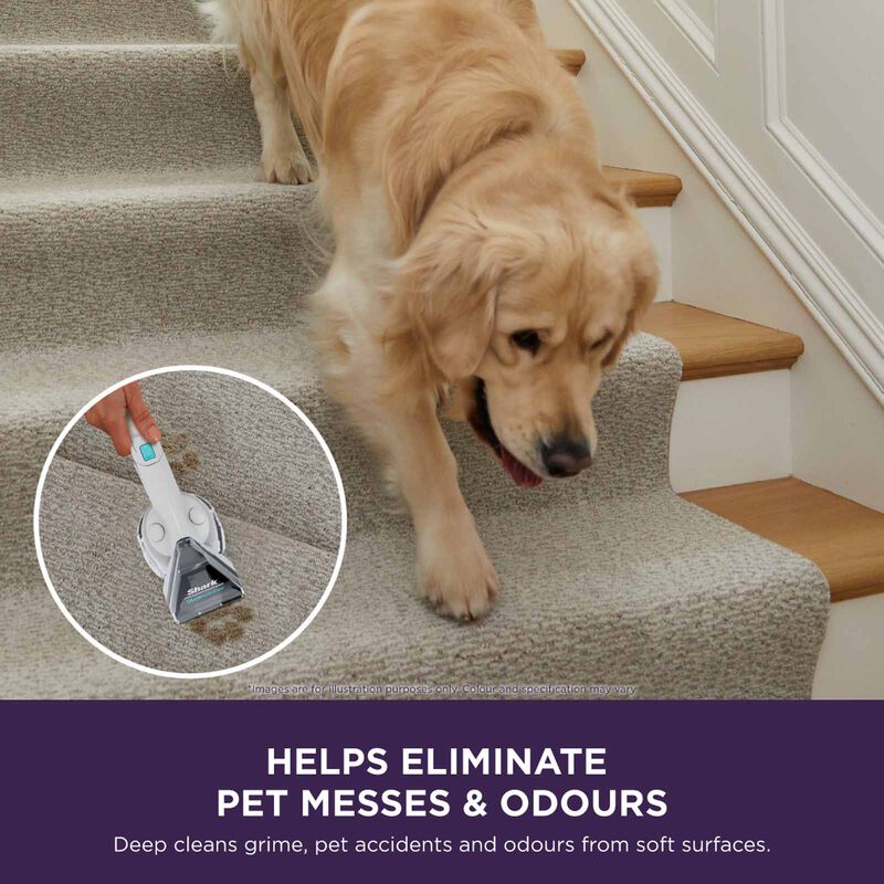 SHARK Stainstriker Pet Stain & Spot Cleaner PX200SMT-image 6