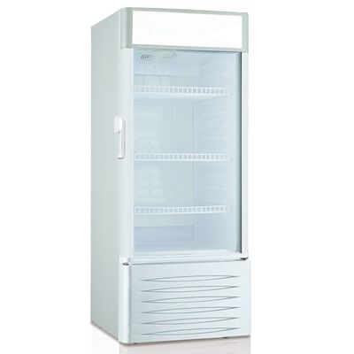 TECNO Showcase Cooler (180l) TUC180L