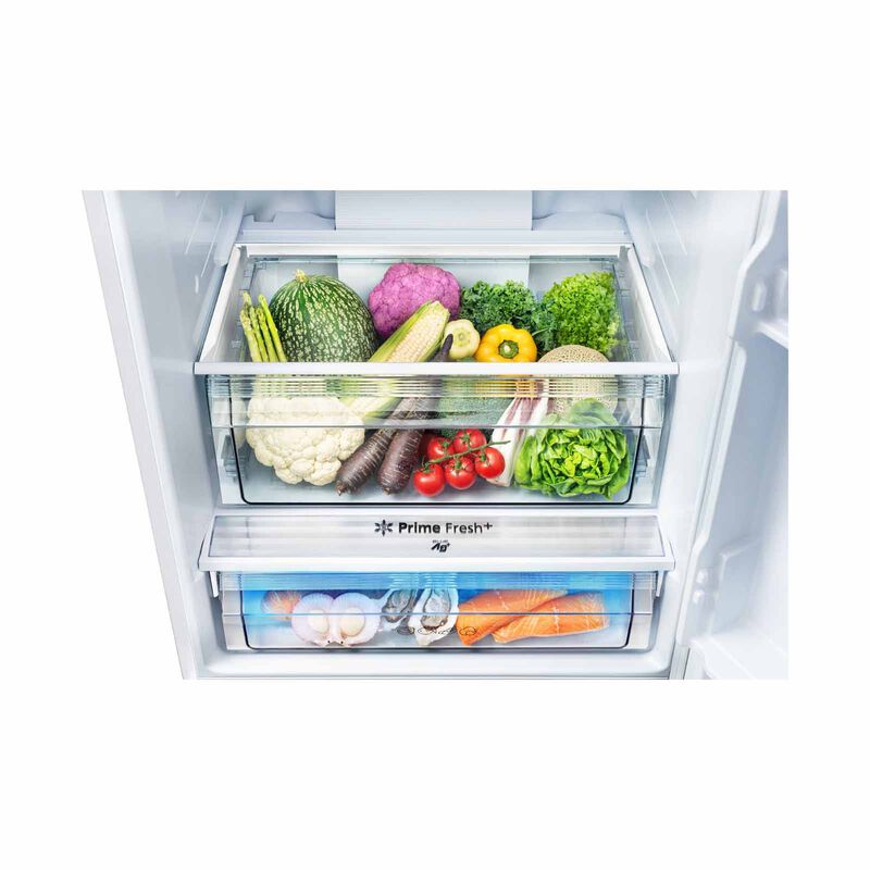 PANASONIC 2 Dr Fridge (405l) - Glass White NR-BX471WGWS-image 4