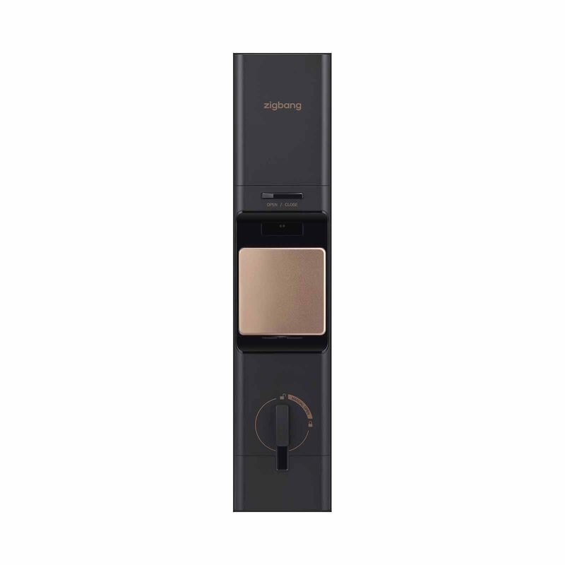 ZIGBANG Shp-r80 - Gold SHP-R80 - GOLD-image 4