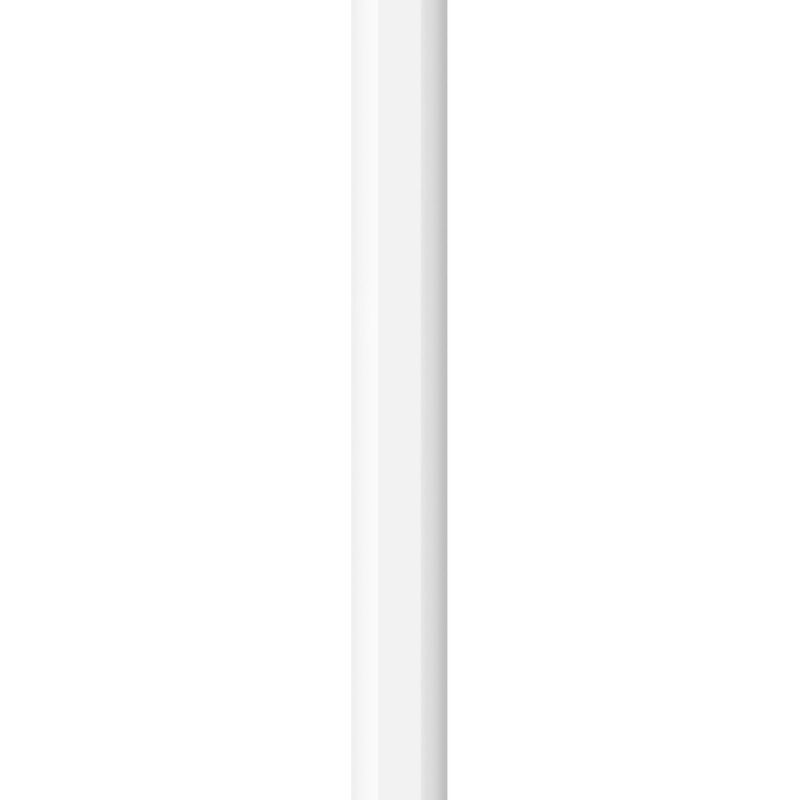 APPLE Apple Pencil (usb-c) MUWA3ZA/A-image 1