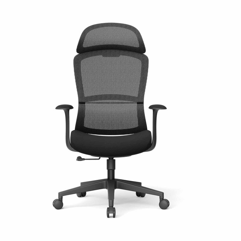Ergonomic Office Chair CIRO MAX-image 1
