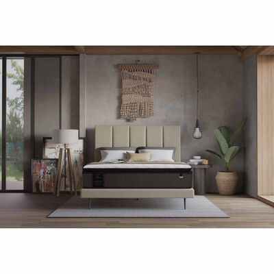 MAXCOIL Queen Size Mattress MOCCA