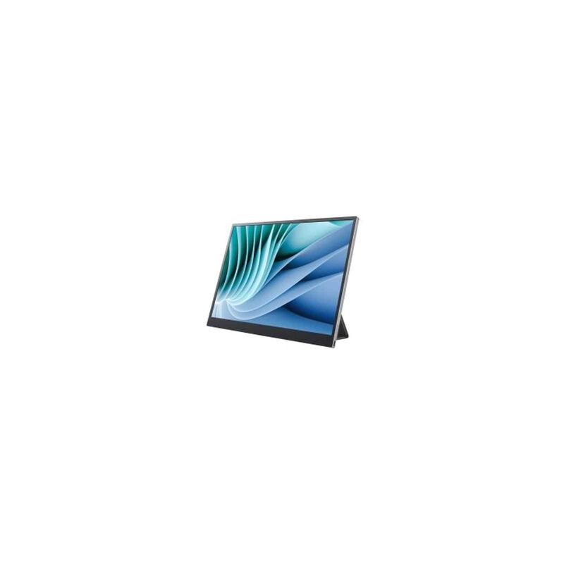LG Lg Portable Monitor View+ 16MR70-image 2