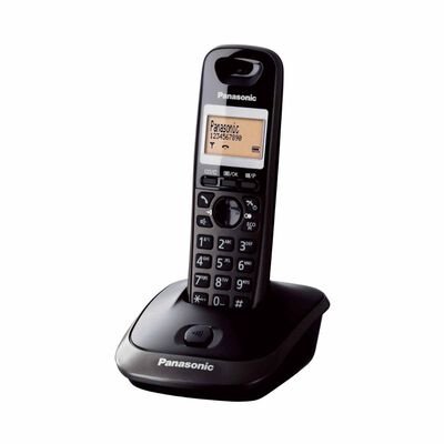 PANASONIC Single Dect Phone Handfree Speaker Phone KX-TG2511CXT -  (TITANIUM BLACK)