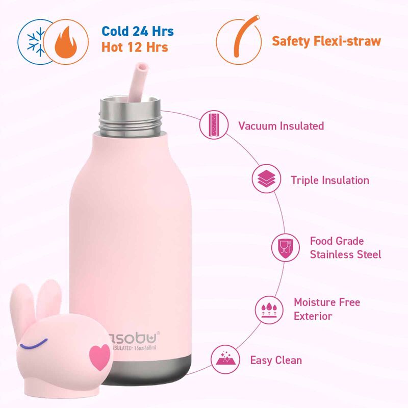 ASOBU Bestie Insul S/s Water Bottle (bunny W/brush) ASBV05459-image 5