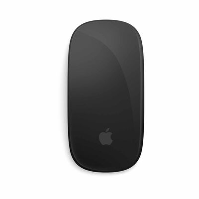 APPLE Magic Mouse - Black Multi-touch Surface MXK63ZA/A