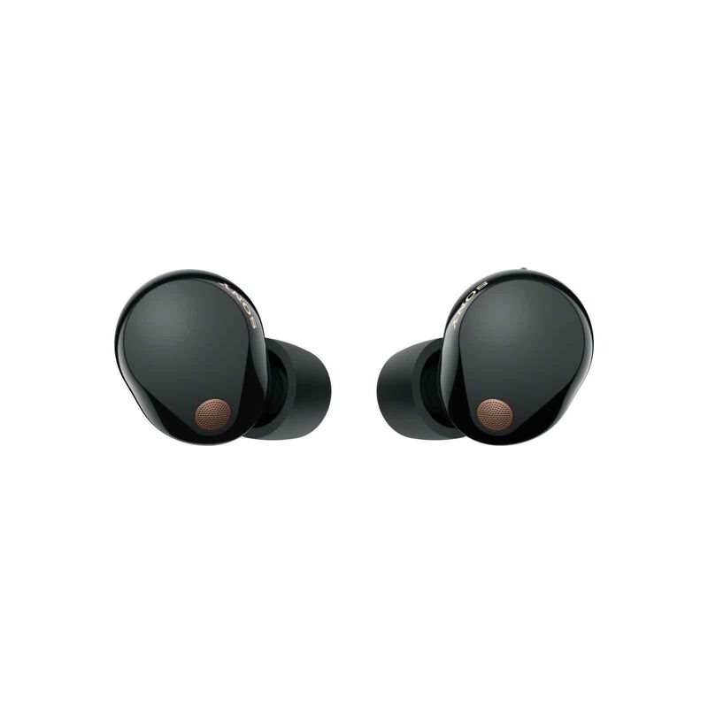 SONY Wireless Noise Cancellation Headphones (black) WF-1000XM5/BCE-image 3