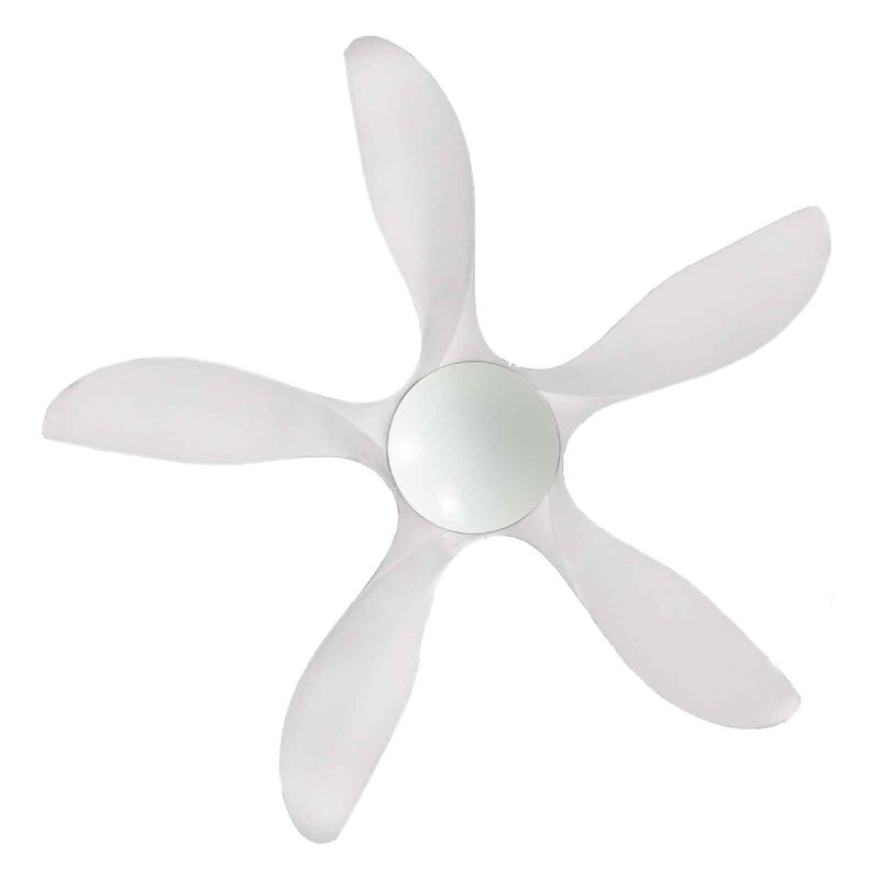 D'FAN 52 In Dc Ceiling Fan With Led Light (white) TYPHOON52-WH-image 5