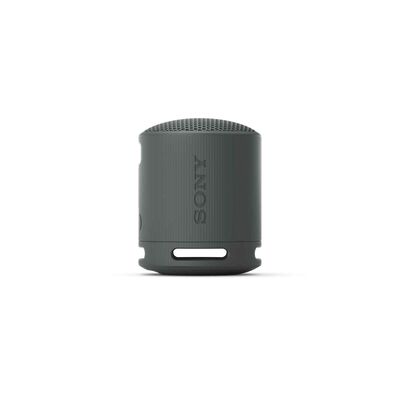 SONY Wireless Speaker (black) SRS-XB100/BCE