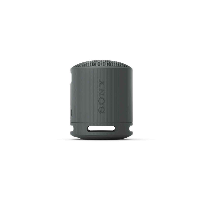 SONY Wireless Speaker (black) SRS-XB100/BCE-image 1