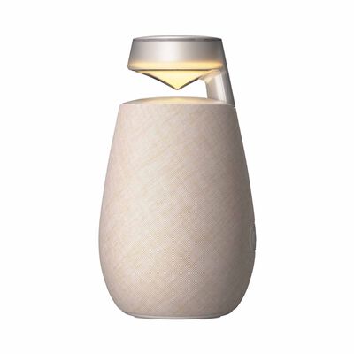 LG 360 Lifestyle Speaker XO2TBE.CSGPLLK