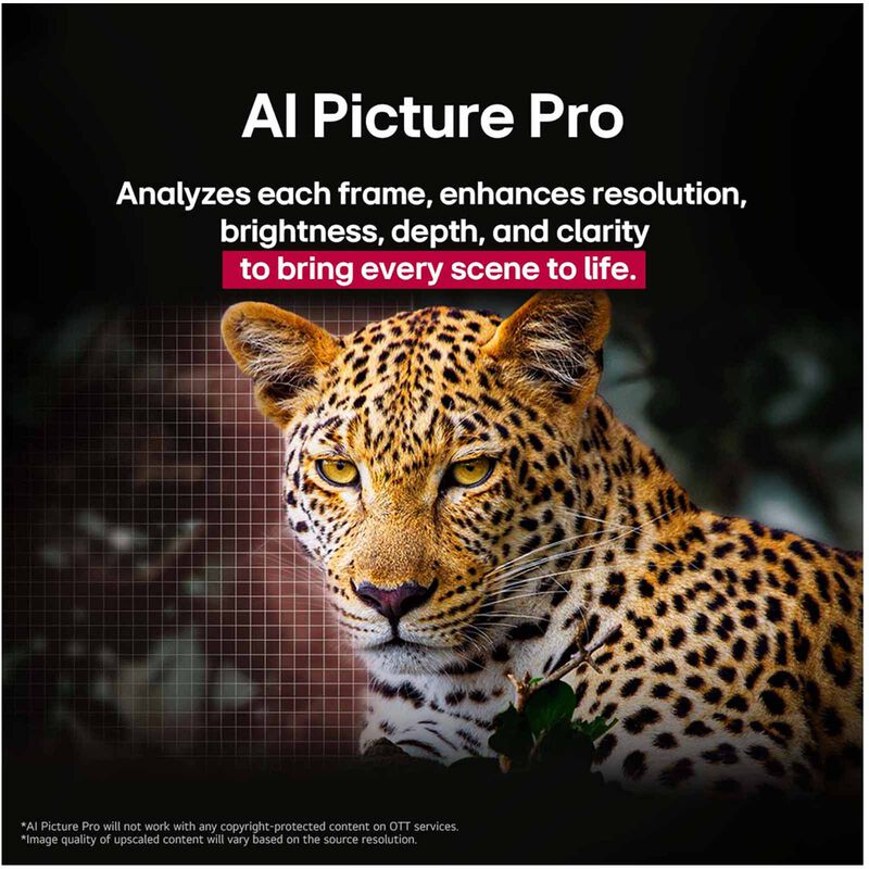 LG 83 In 4k Uhd Oled Tv OLED83B5PSA.ATC-image 9