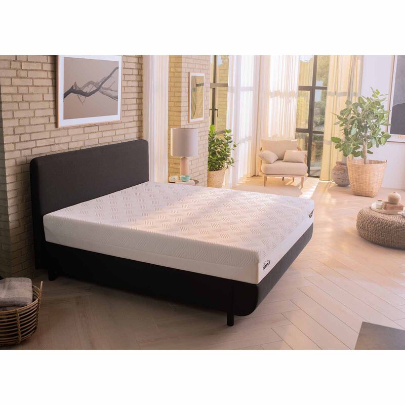 TEMPUR Bundle With Aspire Base Only PRIMA PLUS FIRM NSC (K)-image null