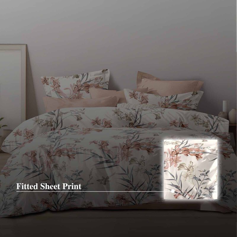 HILLCREST Hillcrest I 988tc Comfylux I Printed I Single Fitted Sheet Set I Noble ( Oe ) 6830 I S I FS I NOBLE-image 4