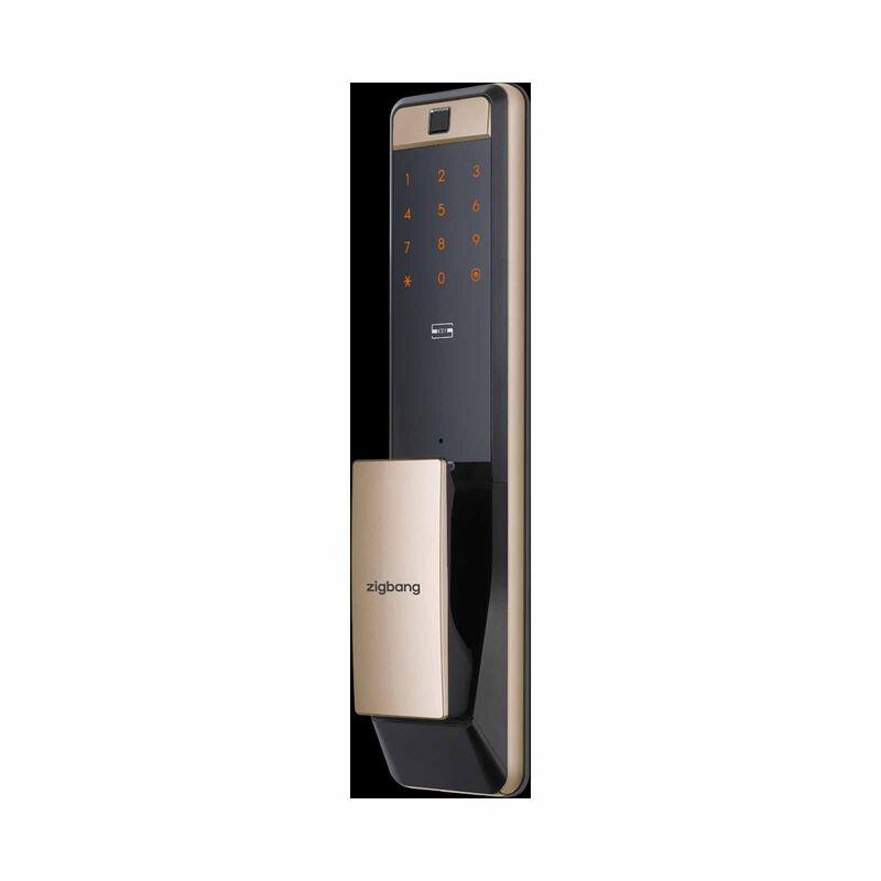 ZIGBANG Shp-p72 - Gold SHP-P72 - GOLD-image 2