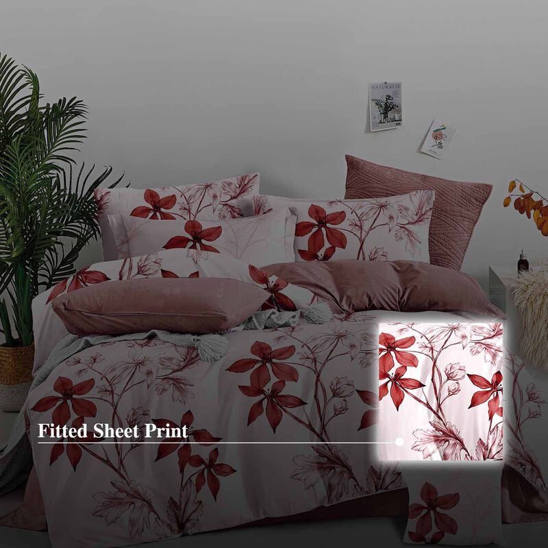 HILLCREST Hillcrest I 988tc Comfylux I Printed I King Fitted Sheet Set I Romance ( Oe ) 7470 - B I K I FS I ROMANCE-image 2