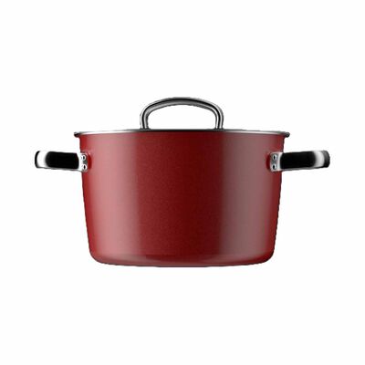 KANDA Titanium Micro-pressure Stew Pot 22cm - Red TITANIUM MICRO-PRESSURE STEW POT 22CM - RED