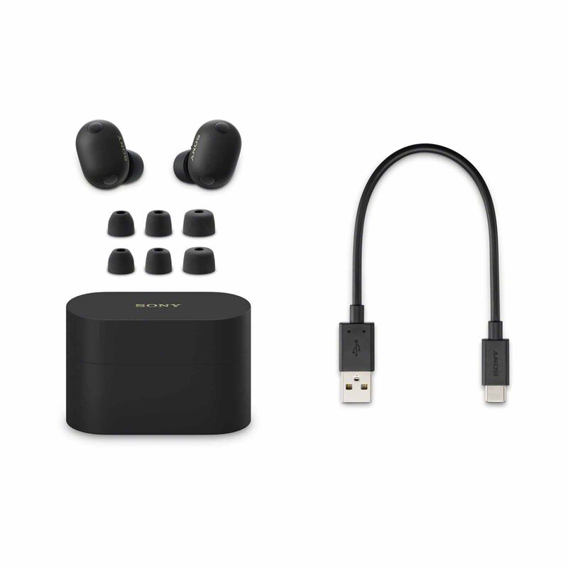 SONY Wireless Noise Cancelling Headphone (black) WF-1000XM6/BZE/BCE-image 4