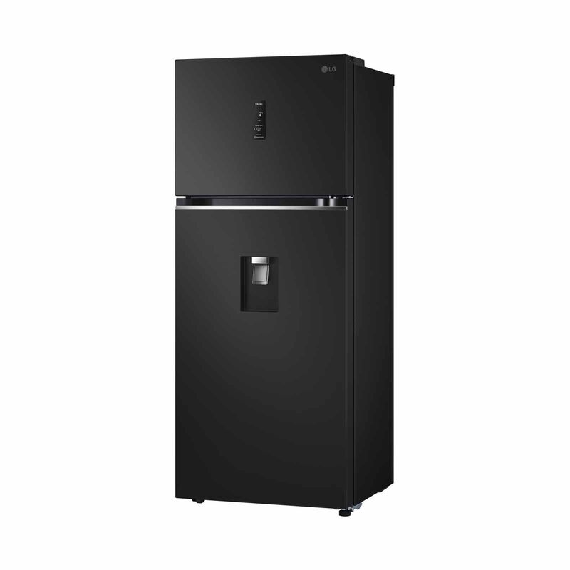 LG 2 Door Fridge (383l) Top Freezer GT-F3953EP-image 5