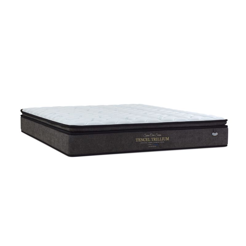 MAXCOIL Queen Size Matress SPINECARE TENCEL TRILLIUM-image 4