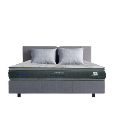 DUNLOPILLO Queen Mattress HEAVENLY