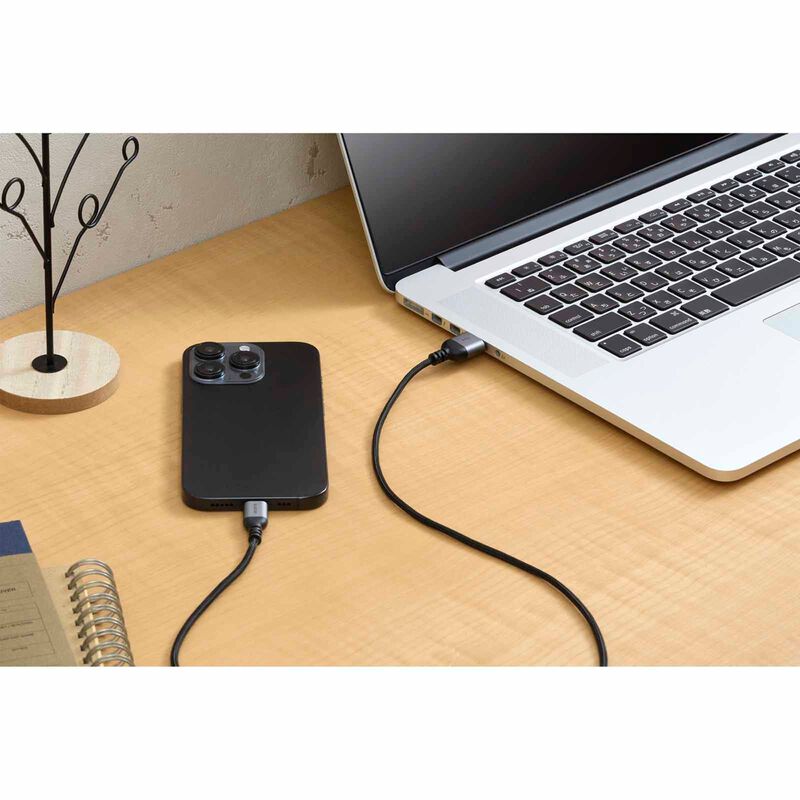 ELECOM Usb C- Usb A 2m MPA-ACASAN20BK-image 2