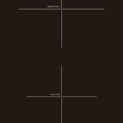 TURBO 30cm 2 Zones Induction Hob With Touch Control (excl. Install) TIA902