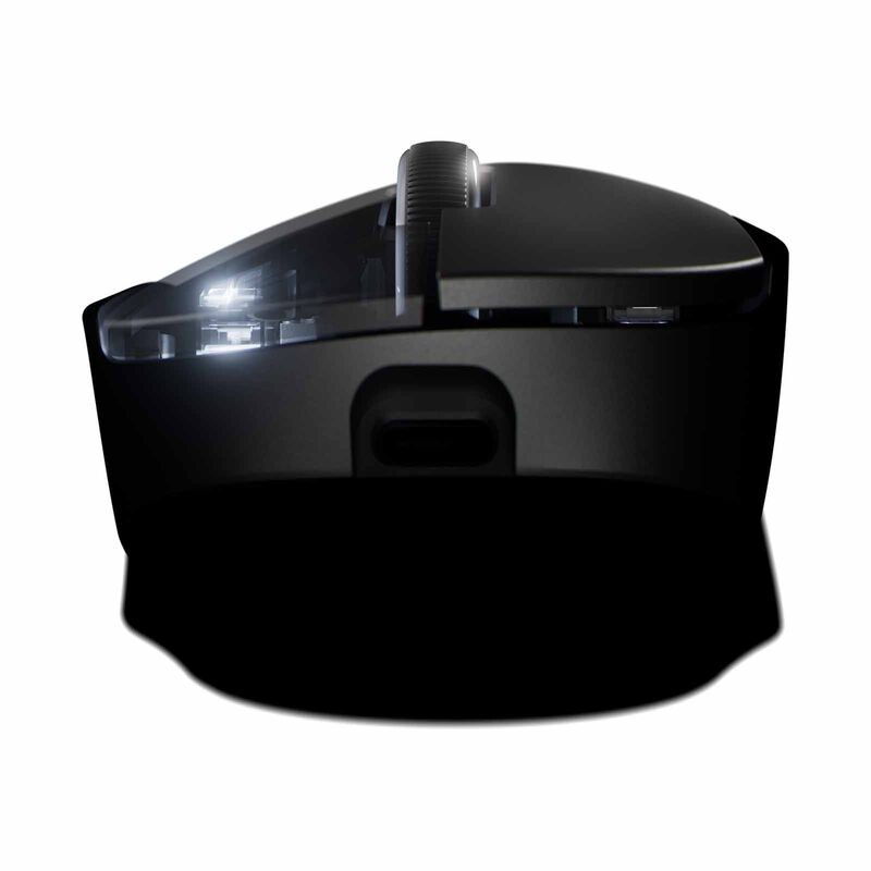 LOGITECH G Pro X Superlight 2 Dex Gaming Mouse (black) 910-007359-image 5