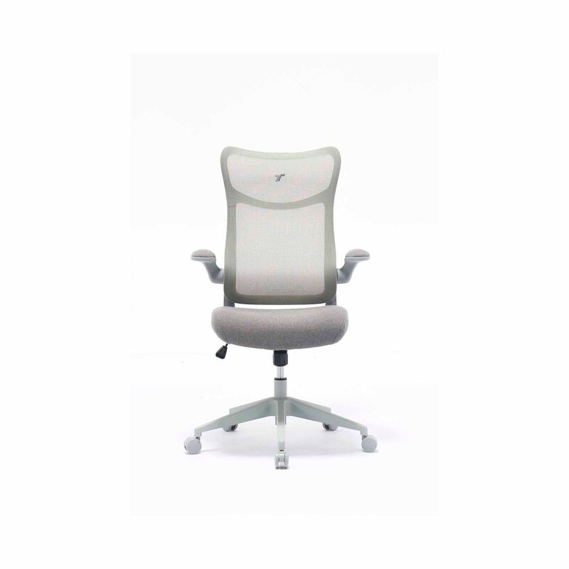 TTRACING Tt Airflex Ergochair V2 - Ashy Grey TTAFLXV2-002-image 1