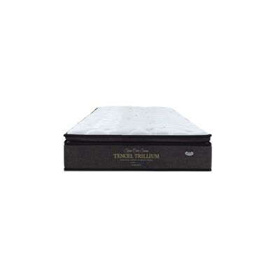 MAXCOIL Single Size Mattress SPINECARE TENCEL TRILLIUM